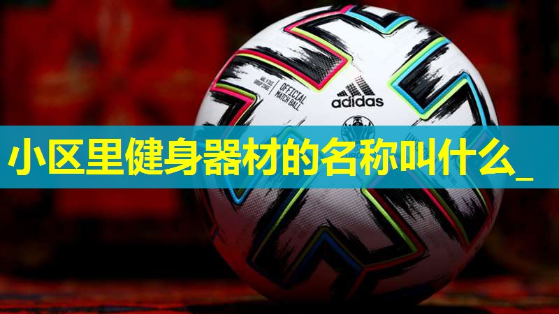 小区里健身器材的名称叫什么_ 小区里健身器材的名称叫什么_