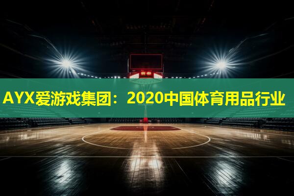 2020中国体育用品行业 2020中国体育用品行业