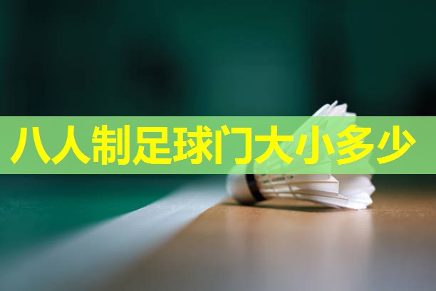 八人制足球门大小多少