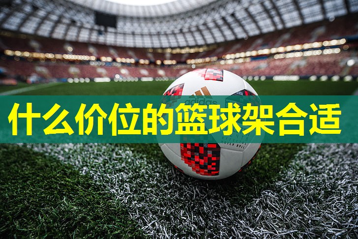 什么价位的篮球架合适 什么价位的篮球架合适