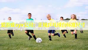 正规乒乓球台标准尺寸 正规乒乓球台标准尺寸