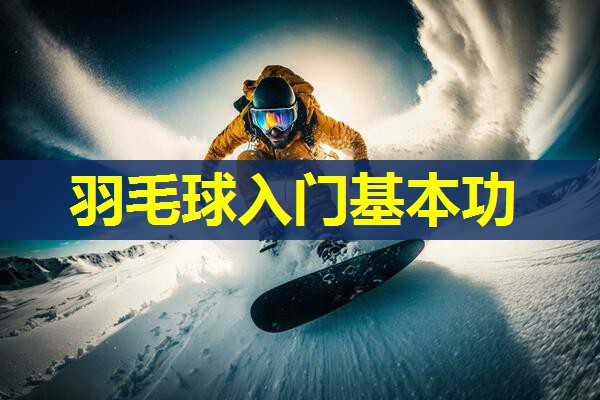 羽毛球入门基本功 羽毛球入门基本功