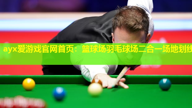 篮球场羽毛球场二合一场地划线 篮球场羽毛球场二合一场地划线