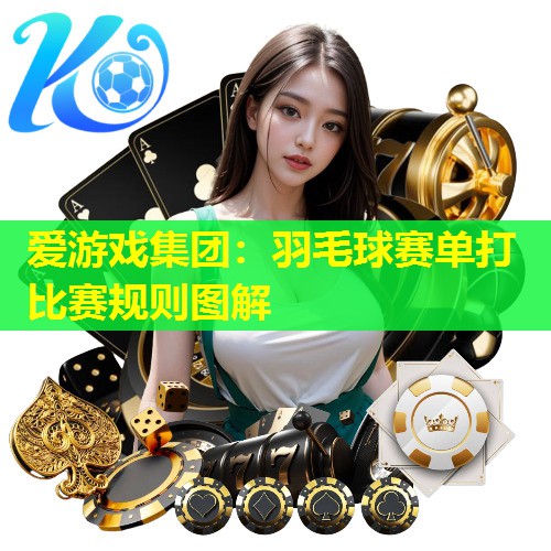 羽毛球赛单打比赛规则图解 羽毛球赛单打比赛规则图解
