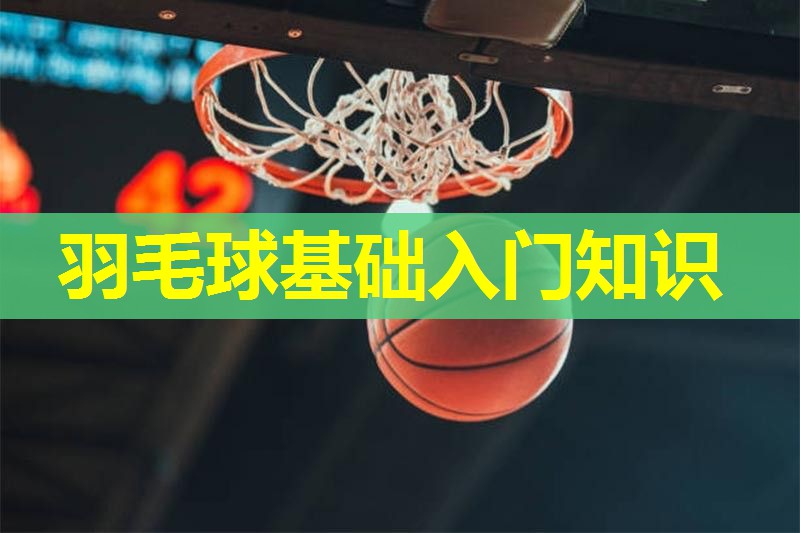 羽毛球基础入门知识