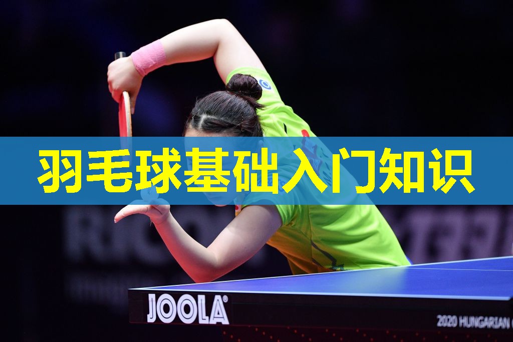羽毛球基础入门知识