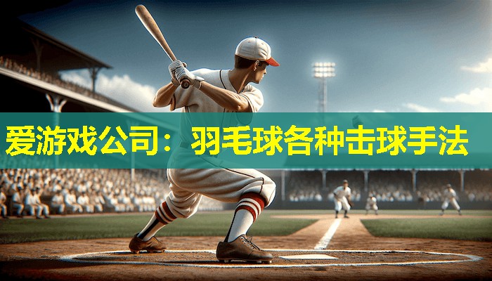 羽毛球各种击球手法 羽毛球各种击球手法