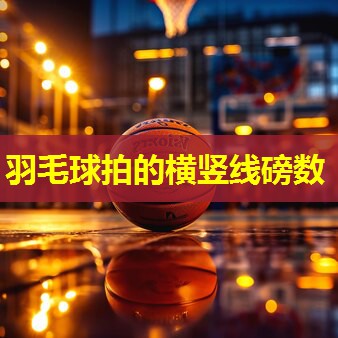 羽毛球拍的横竖线磅数 羽毛球拍的横竖线磅数